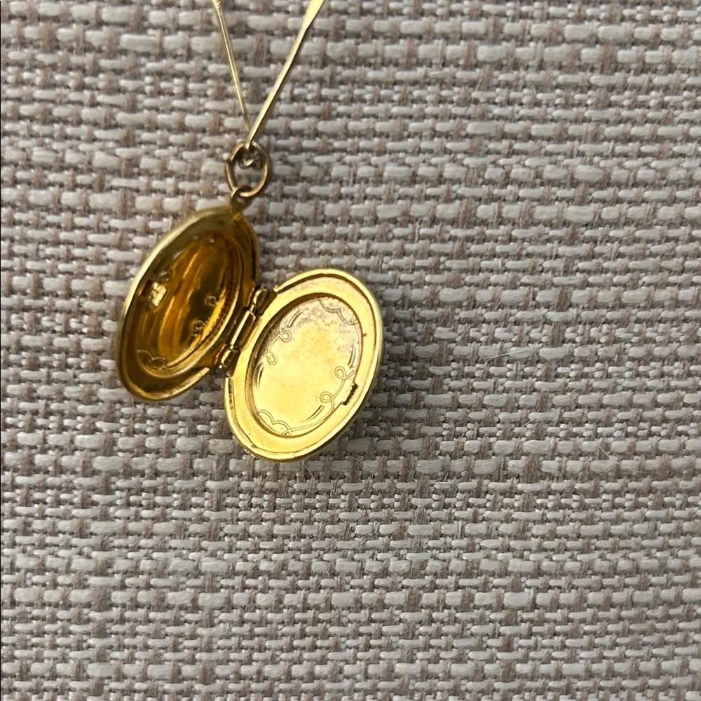 Vintage Gold Floral Portrait Locket Necklace with Pink Rose - Picture 5 of 9